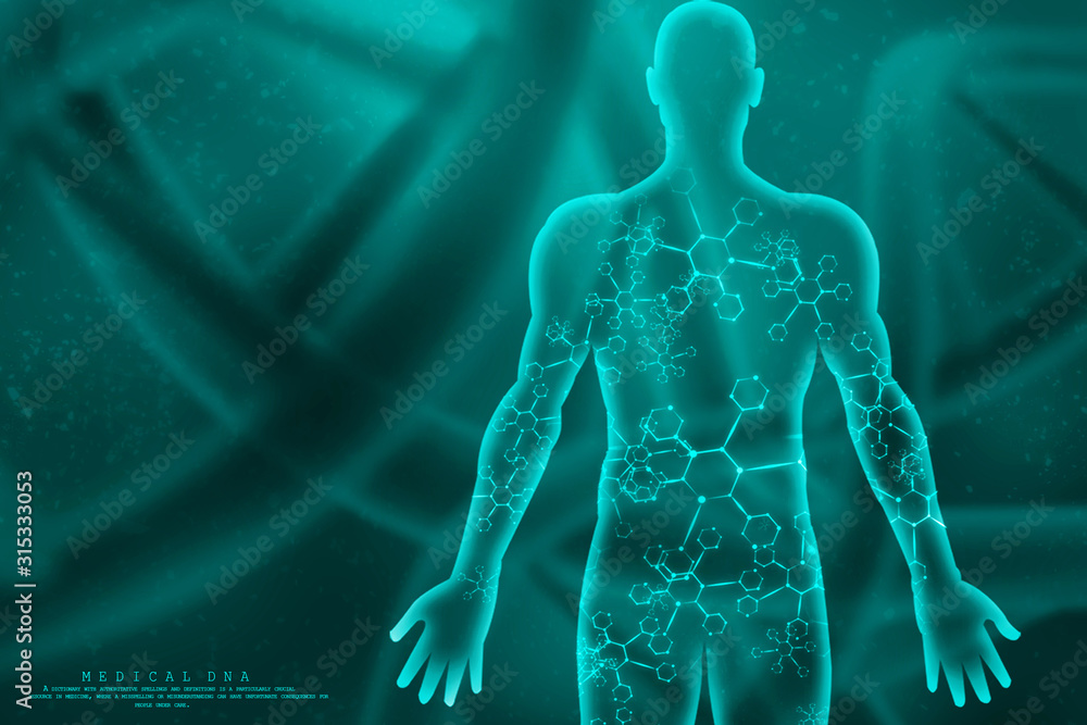 2d illustration Human Male Muscle Body 2d illustration Human Male Muscle Body