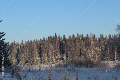 Snowy decoration of the Ural forest