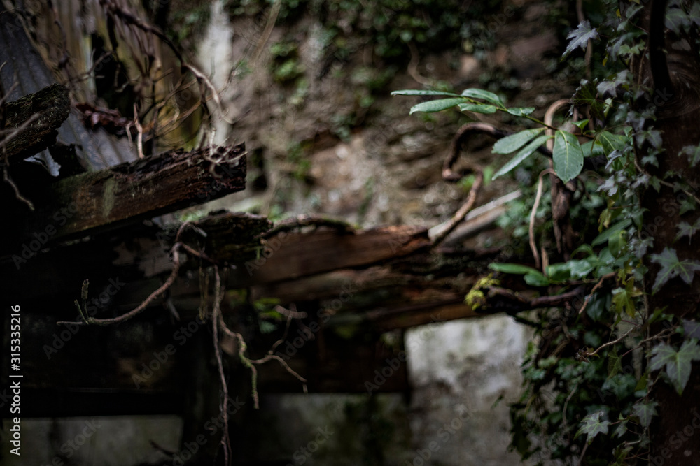 Obraz premium Abandoned