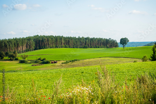 Dekoracja na wymiar kaszuby-pole-laka-las-trawa