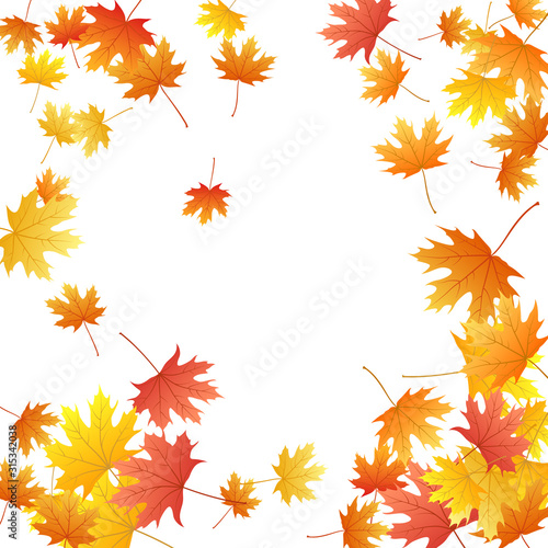 Maple leaves vector background, autumn foliage on white graphic design. © SunwArt