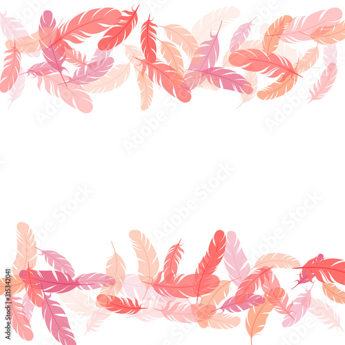 Detailed majestic feather on white design.