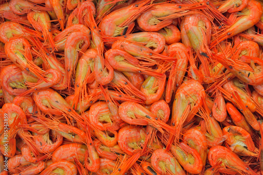 Shrimps 4 Shrimps 4