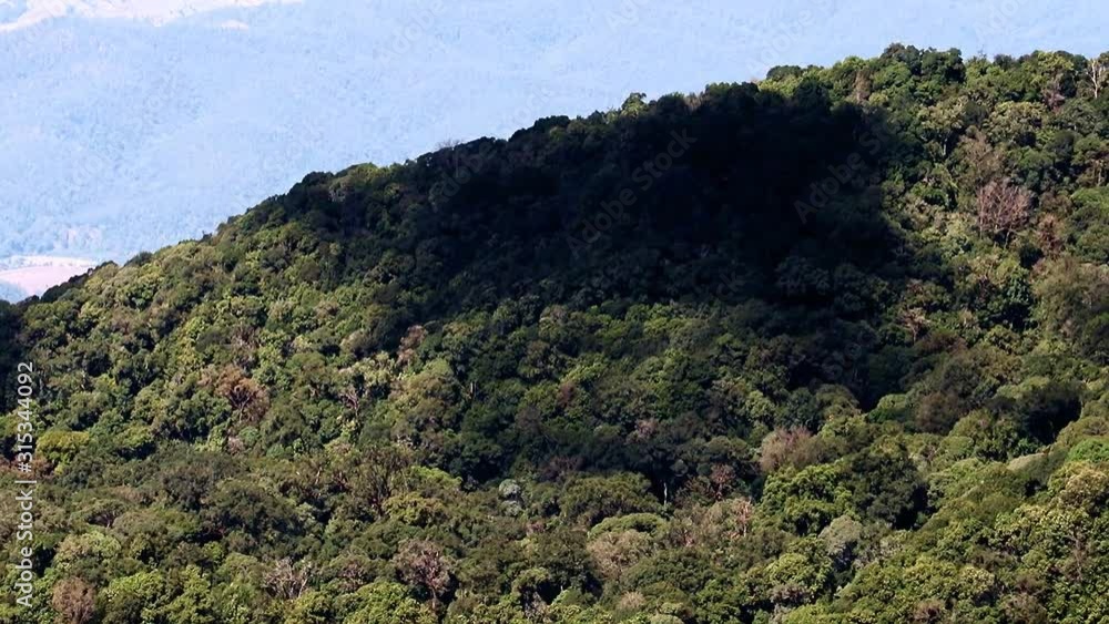The shadow of the cloud moves down a hill with green trees. Mountain peaks with shadow of clouds. National Park, Chiang Mai province, Thailand The shadow of the cloud moves down a hill with green trees. Mountain peaks with shadow of clouds. National Park, Chiang Mai province, Thailand