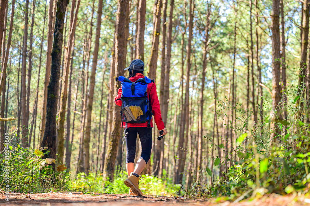 Obraz premium woman researcher with tool watching the nature in forest