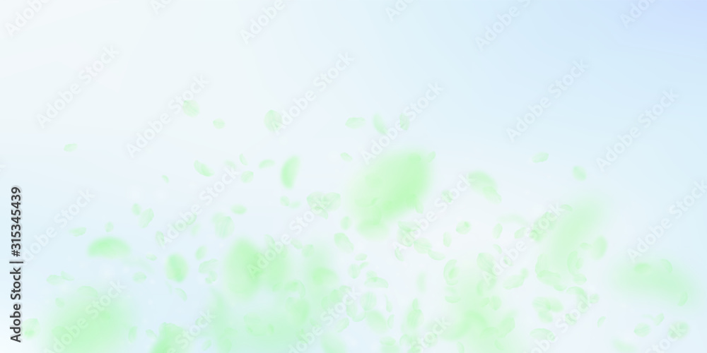 Green flower petals falling down. Astonishing roma Green flower petals falling down. Astonishing roma