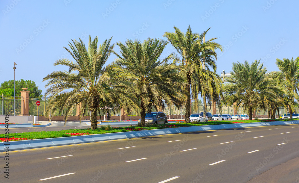 Abu Dhabi street view with road and palm trees. Sunny summer day in Abu Dhabi. Famous tourist destination in UAE. Ideal place for luxury travel, shopping and rest