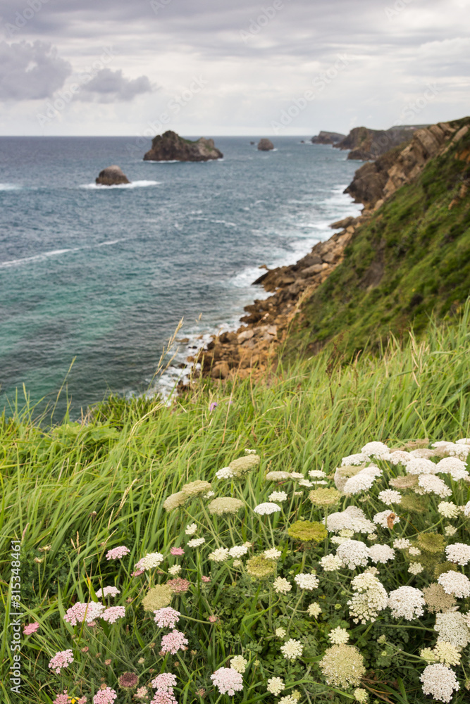 Landscape of cliffs by the sea. Santander, Spain