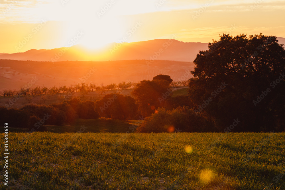 Fototapeta premium Photograph of a spring sunset with trees and mountains in the background. Granada, Spain.