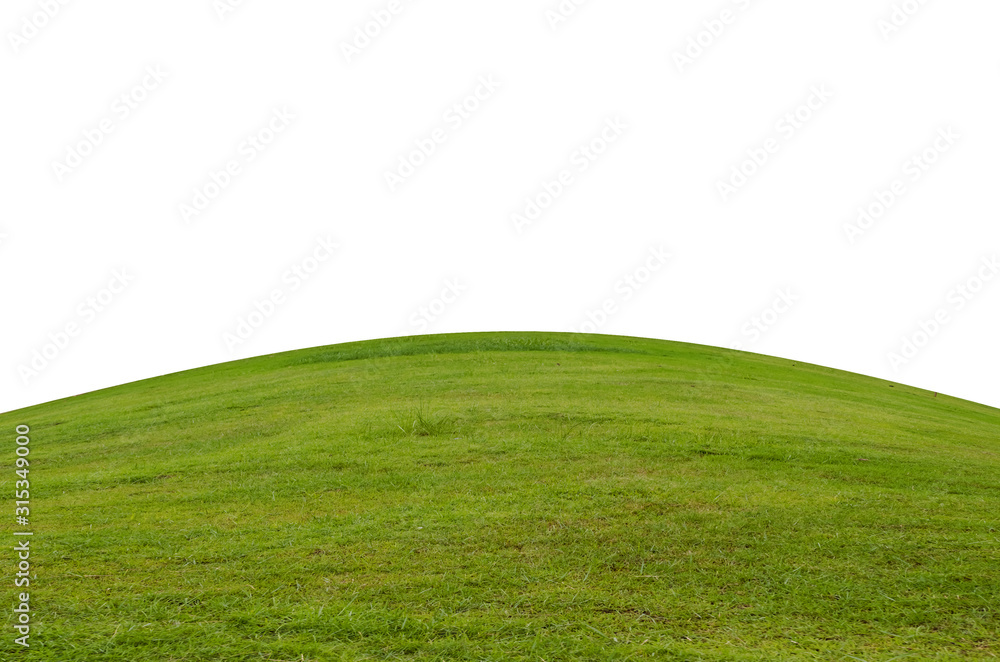 Green grass field isolated on white background with clipping path. Green grass field isolated on white background with clipping path.