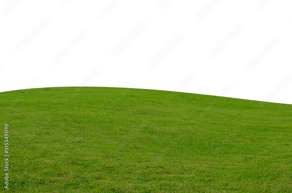 Green grass field isolated on white background with clipping path. - obrazy, fototapety, plakaty 