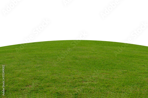Green grass field isolated on white background with clipping path. © Anucha