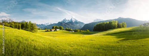 Panel kuchenny z motywem Idyllic mountain landscape in the Alps with blooming meadows in springtime