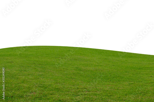 Green grass field isolated on white background with clipping path.