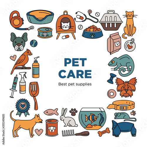 Pet store dogs, cats, birds, other domestic animals square pattern