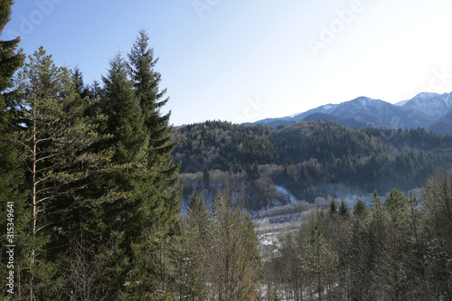  Mountain landscape with tall fir trees on a background of mountains. Bird's-eye view. Winter natural background.