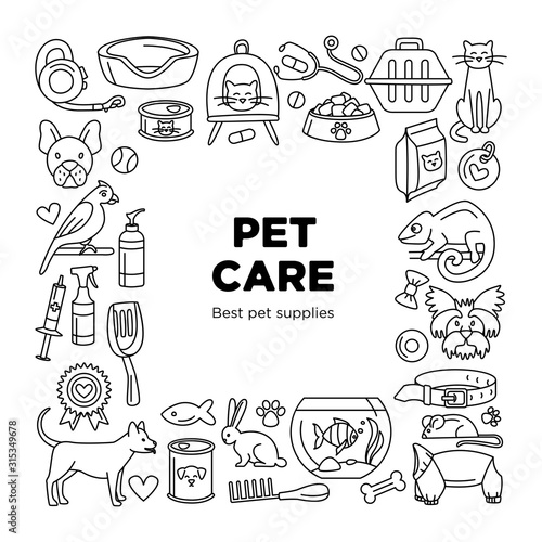 Pet store dogs, cats, birds, other domestic animals square pattern