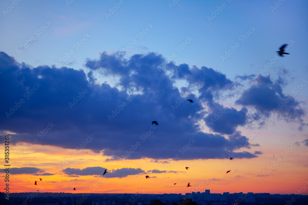 crows flying in the dusk sky