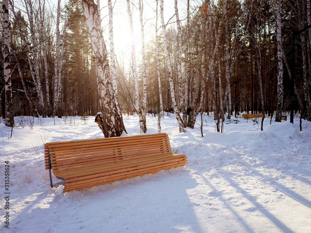 City park during a winter at sunny walk. Wooden bench in park at winter time at sunny day
