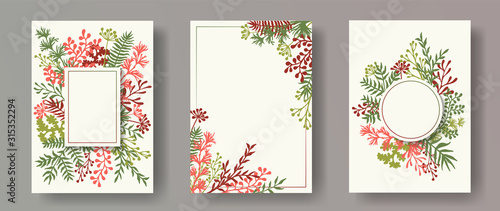 Tropical herb twigs, tree branches, leaves floral invitation cards collection. Plants borders modern cards design with dandelion flowers, fern, mistletoe, olive branches, sage twigs.