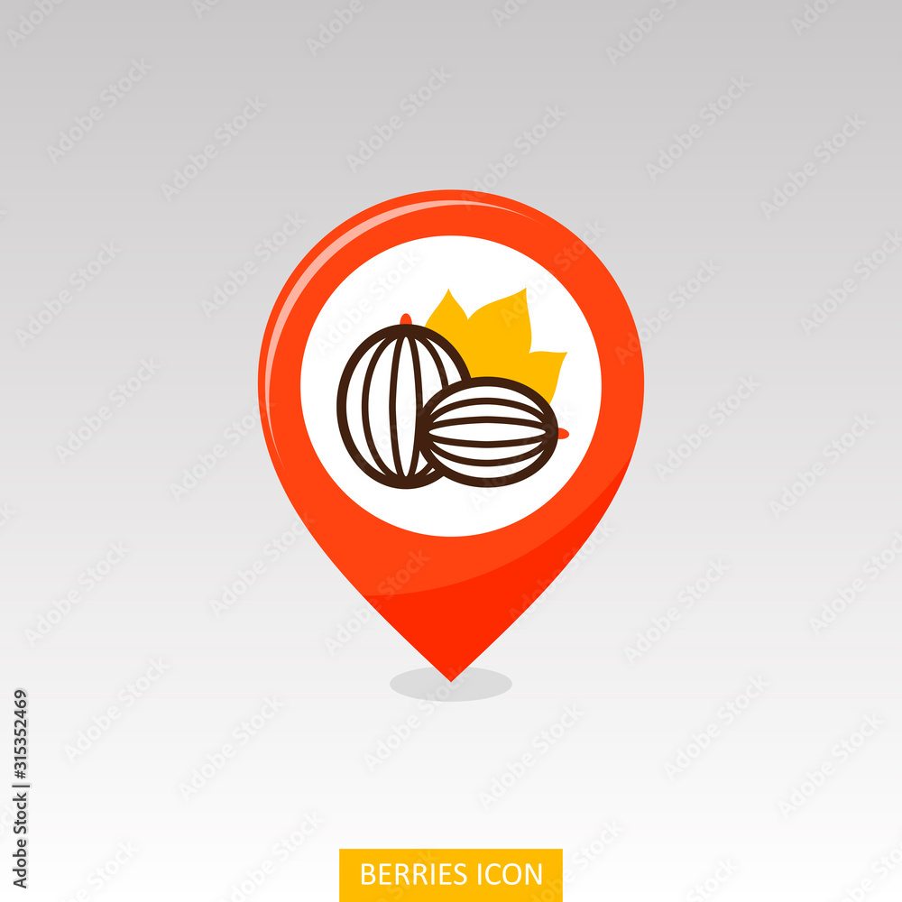 Gooseberry pin map icon. Gooseberry berry fruit Gooseberry pin map icon. Gooseberry berry fruit