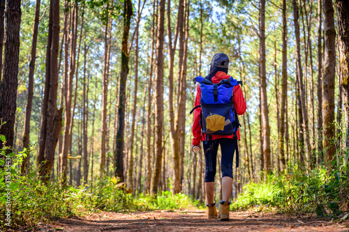 woman trekking walks to the deep of the forest jungle, explore the nature in holidays weekend.