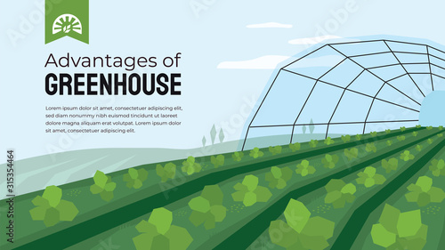 Vector illustration of advantage of greenhouse. Polyhouse cultivation in agriculture. Design template for horticulture or agronomy. Template with greenhouse farming for banner, poster, flyer, layout.