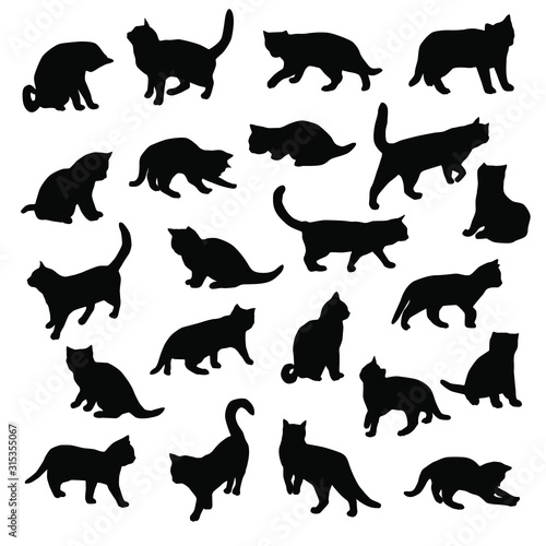 Set vector silhouettes of the cat, different poses, standing, jumping and sitting, black color, isolated on white background