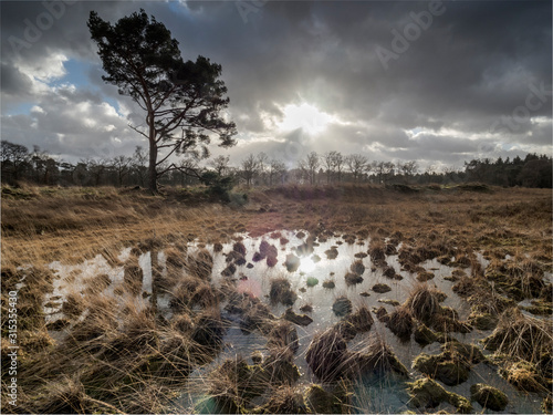 Fotografie Beautiful heathland landscape with beautiful cloudy skies colorful landscape