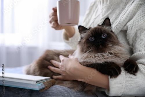 Woman with her cute Balinese cat at home, closeup. Fluffy pet