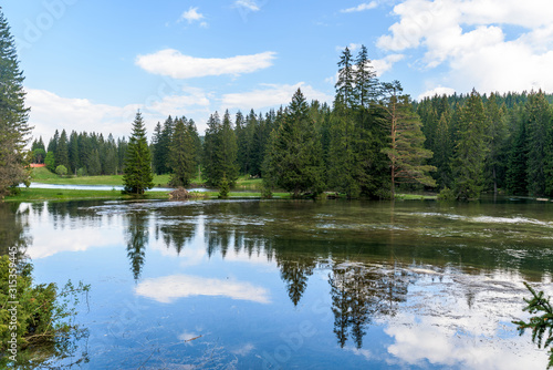 lake in the mountains among the trees. summertime. © Taranova_ksenya