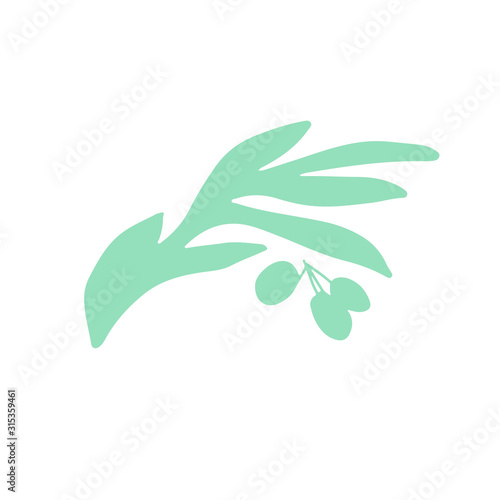 Hand drawn vector color illustration of olive branch with green olives on a white background isolated. Symbol for olive oil bottle label Italian, Mediterranean, Greek or Spanish cuisinecard, card