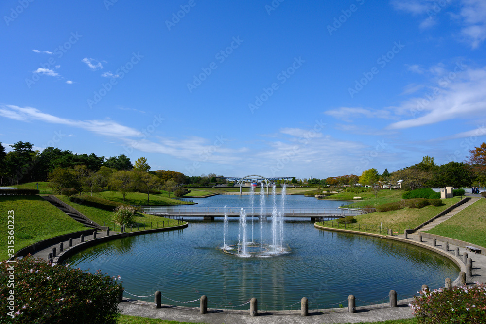Fototapeta premium 国営ひたち海浜公園の西池