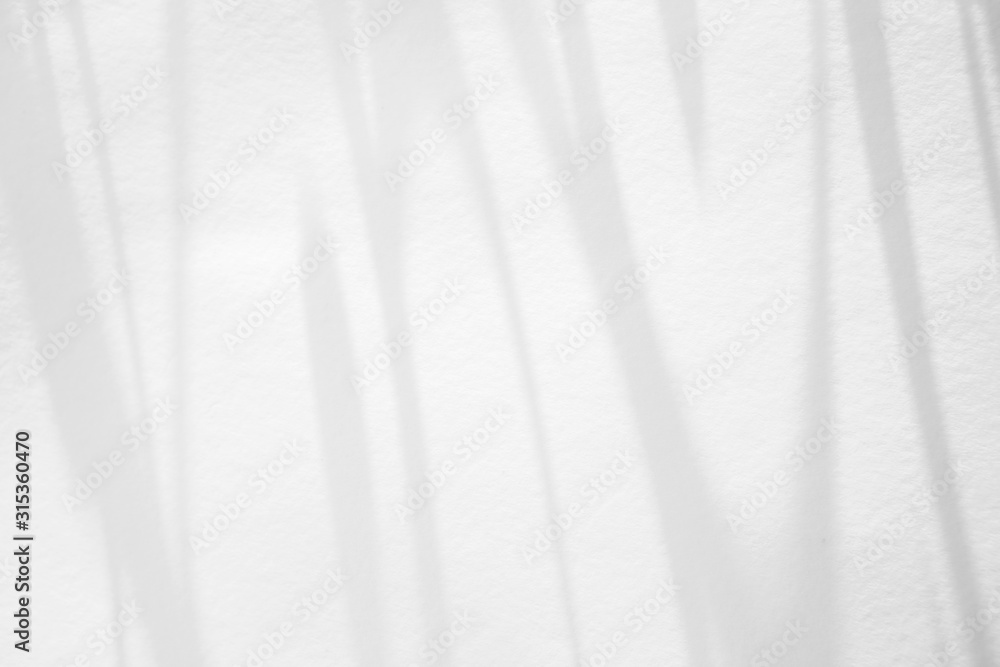 Overlay effect for photo. Organic drop shadow on a white wall. Mock-ups, posters, stationary, wall art, design presentation Overlay effect for photo. Organic drop shadow on a white wall. Mock-ups, posters, stationary, wall art, design presentation