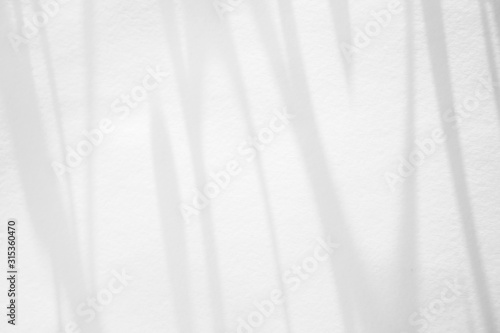 Overlay effect for photo. Organic drop shadow on a white wall. Mock-ups, posters, stationary, wall art, design presentation