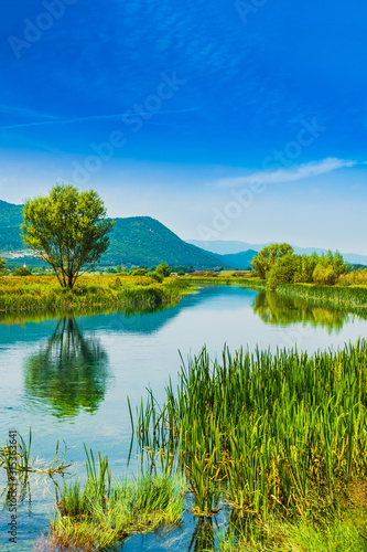 Gacka river flowing between trees and fields of grass  summer view  Lika region of Croatia