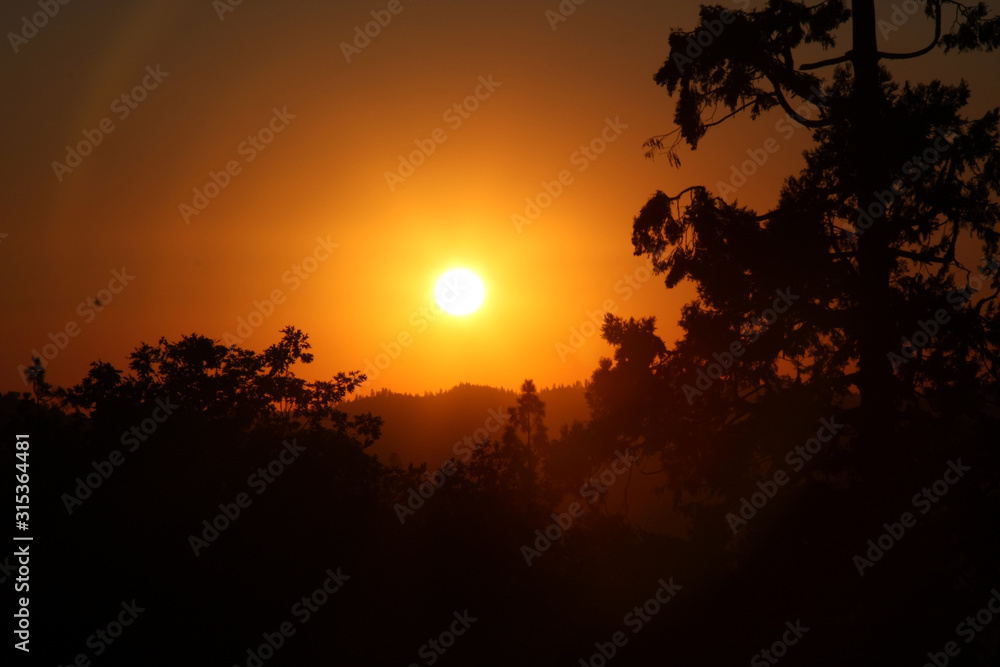 Sunset, Evening, National Park, Stanislaus National Park, Groveland, California, USA