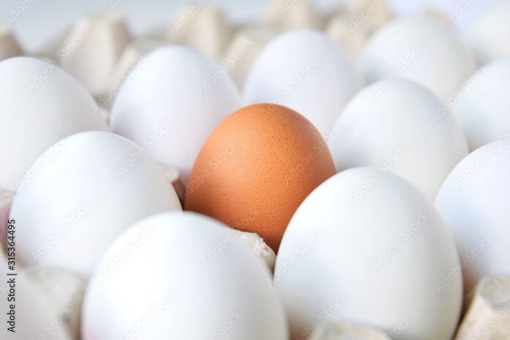 Row of white chicken eggs with one brown egg in cardboard container. healthy protein breakfast. Fresh organic chicken eggs with selective focus. Egg box. Easter preparation. Raw eggs Row of white chicken eggs with one brown egg in cardboard container. healthy protein breakfast. Fresh organic chicken eggs with selective focus. Egg box. Easter preparation. Raw eggs