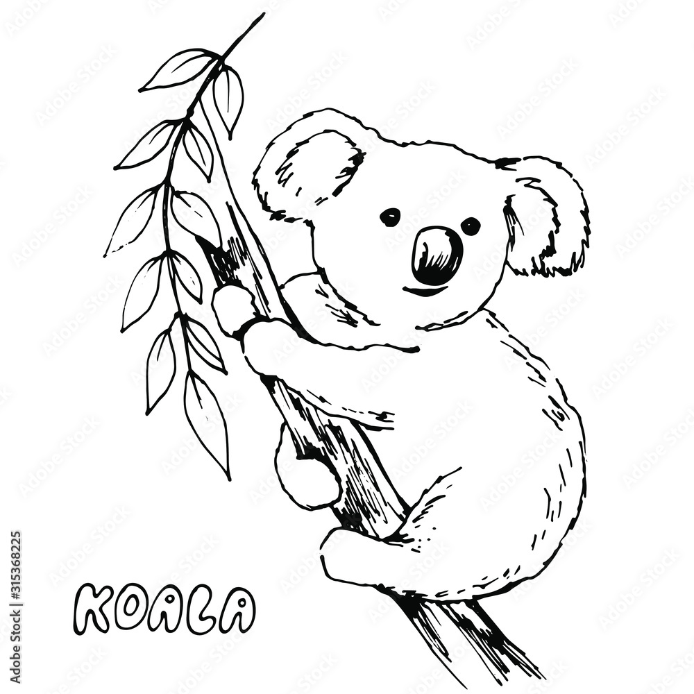 Cute Koala on Tree Branch - Free Clip Art