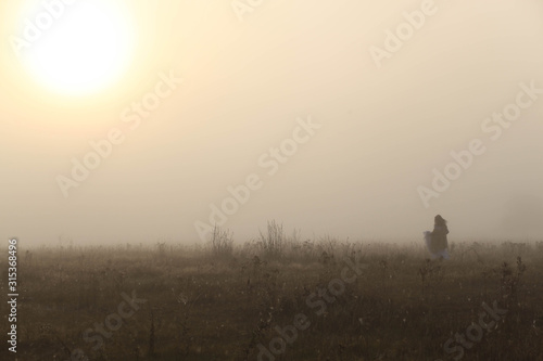 girl in a white dress on a mist field with oaks © Maria
