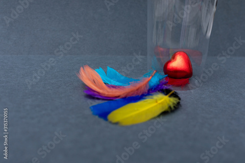 Red heart shaped chocolates are under glass with rainbow-colored bird feathers on a grey background. Greeting card Happy Valentines Day. Copy space. Top view.