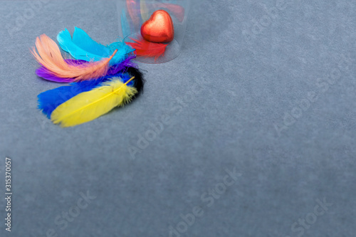 Red hearts shaped chocolates are under glass with rainbow-colored bird feathers on a grey background. Greeting card Happy Valentines Day. Copy space. Top view.