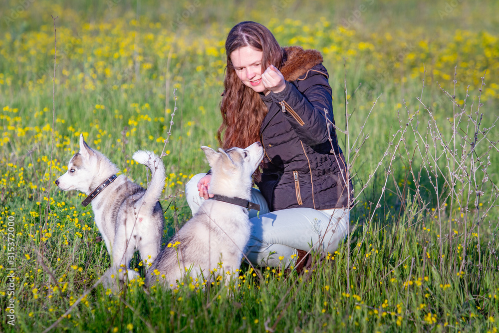 girl in the park their home with a Husky puppy girl in the park their home with a Husky puppy