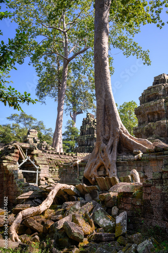 Ta Prohm temple at Angkor Wat complex  Siem Reap  Cambodia