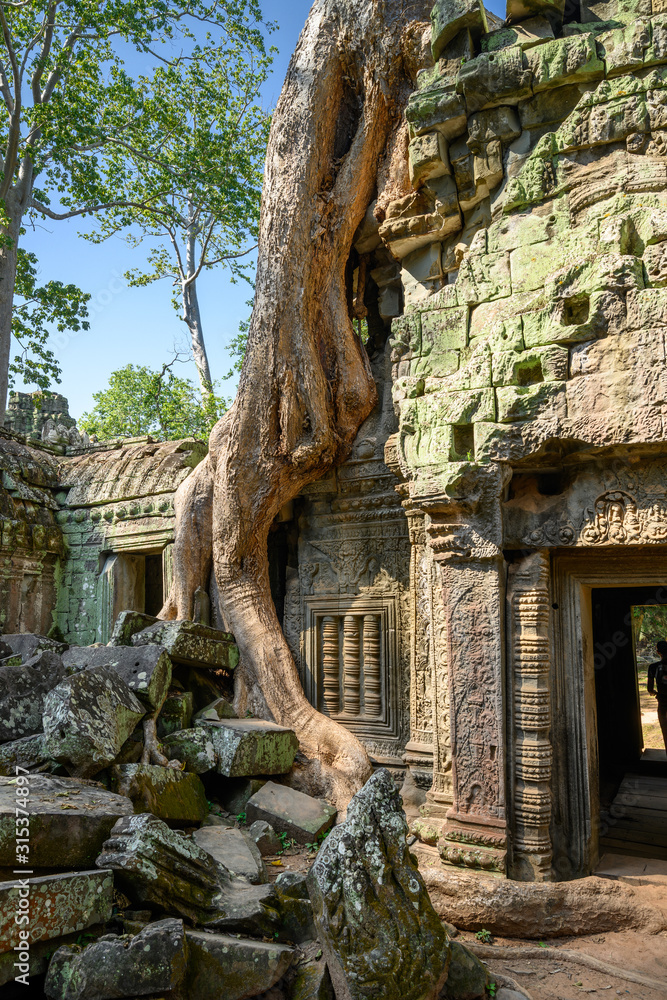 Fototapeta premium Ta Prohm temple at Angkor Wat complex, Siem Reap, Cambodia