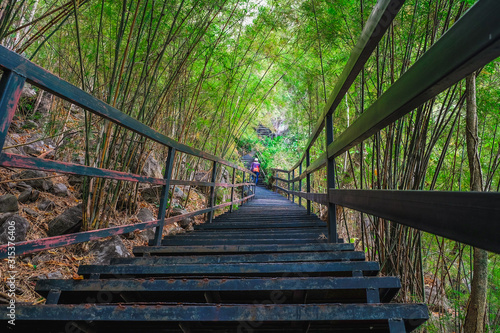 Fototapeta Naklejka Na Ścianę i Meble -   Steel stairway to the mountain's path against the green bamboo background Famous tourist attractions in Nong Bua Lamphu Province, Thailand