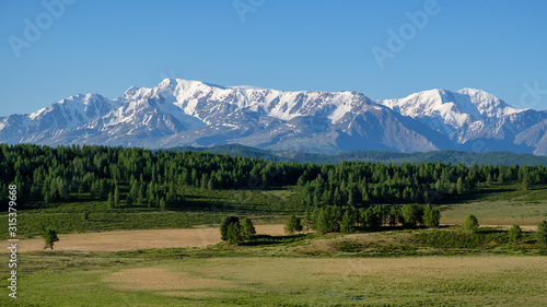 View of the snow-capped peaks of the mountain range. Mountain forest, summer Altai.