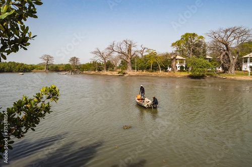 Gambia Mangroves.Traditional long boats.