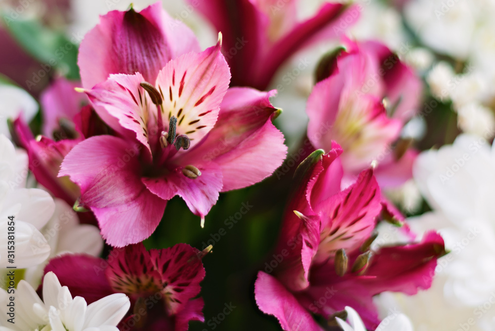 Naklejka premium Floral composition of rose Alstroemeria flowers
