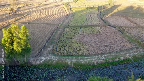 Aerial view of rural areas in the northeast region of Thailand in drought conditions.